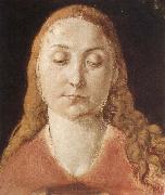 Albrecht Durer Portrait of a woman with Loose Hair France oil painting artist